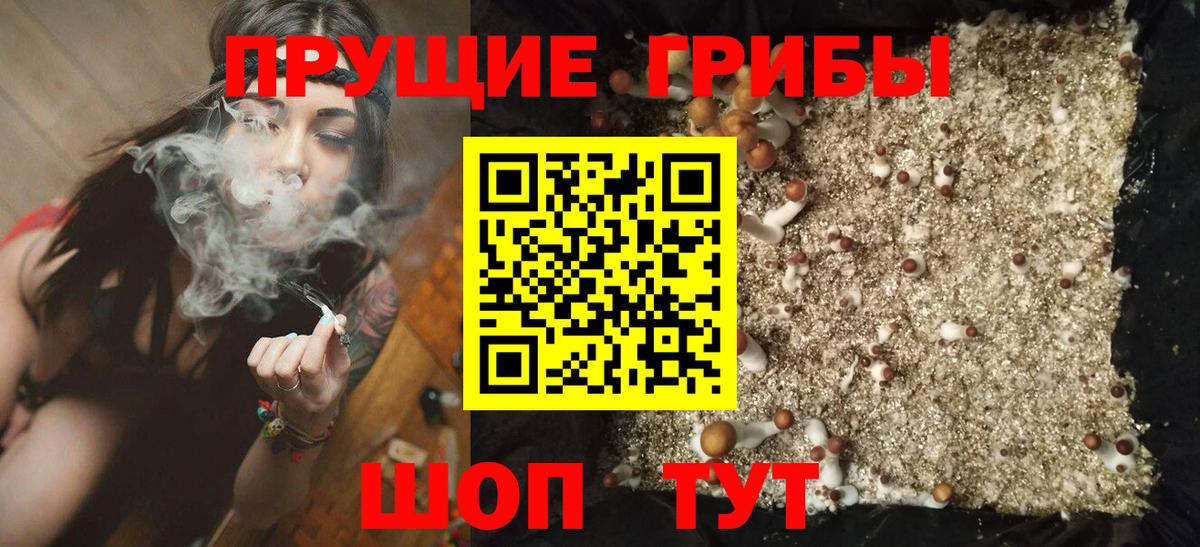 Елец  Галлюциногенные грибы Psilocybine cubensis  Вход с VPN 